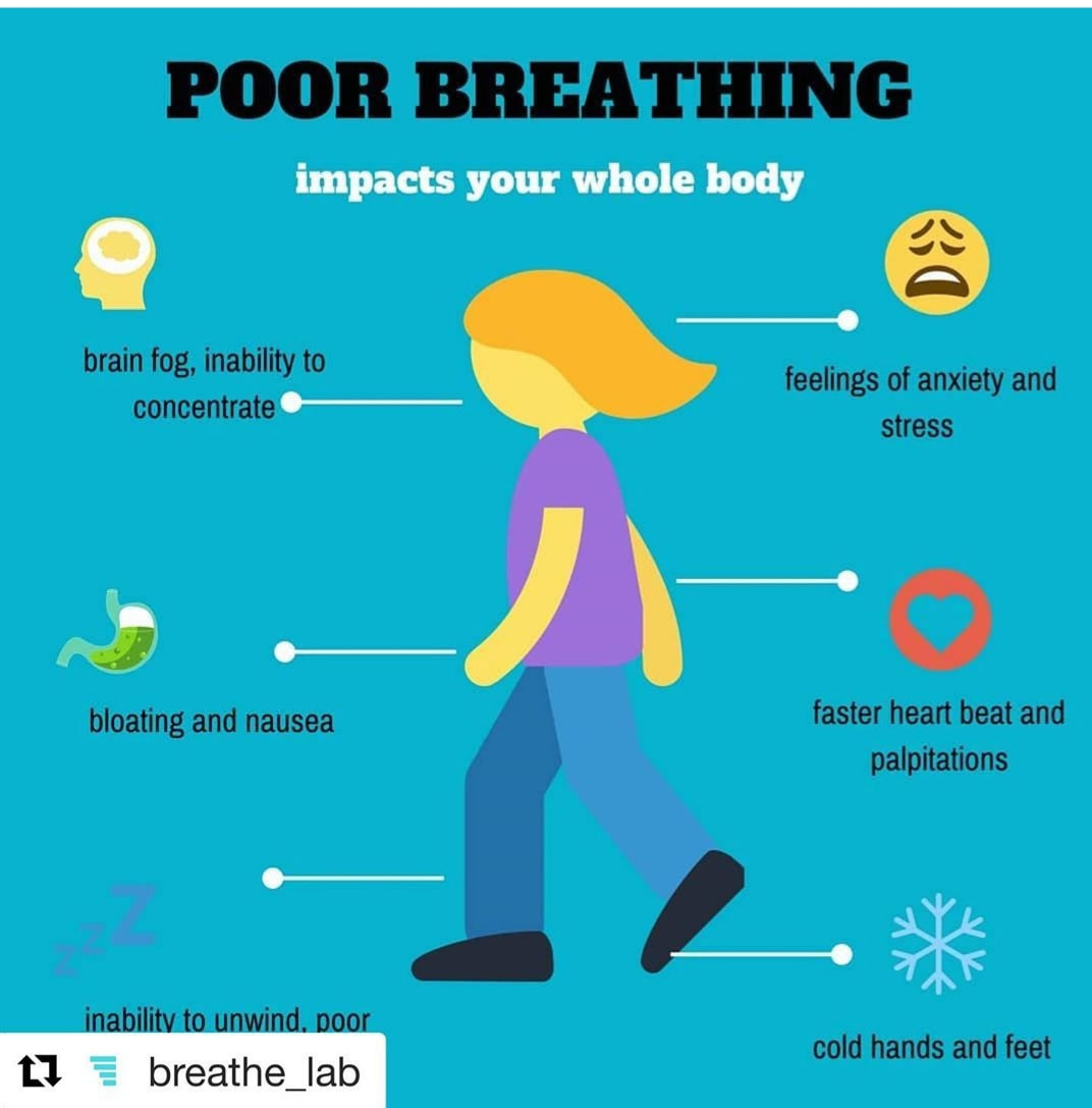 How Well Do You Breathe Strieker Physiotherapy Nz